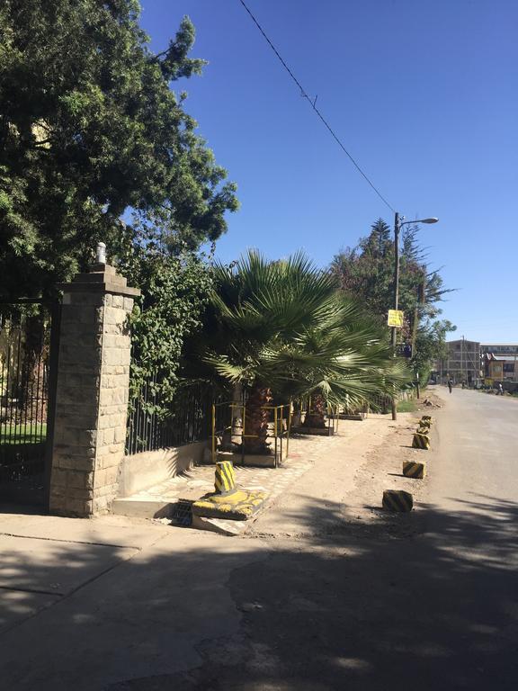 Bow Hotel B&B Addis Abeba Zewnętrze zdjęcie